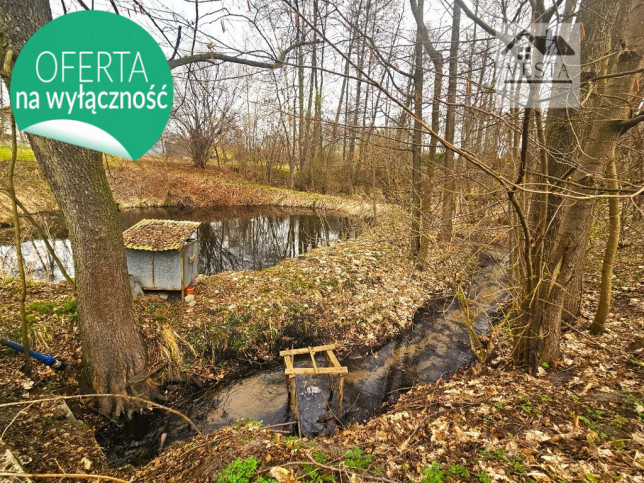 Działka Sprzedaż Dąbrowa Wronowska 4