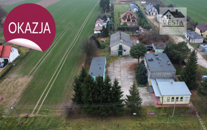 Działka Sprzedaż Ludwin-Kolonia 3