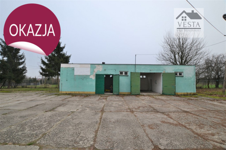 Działka Sprzedaż Ludwin-Kolonia 8